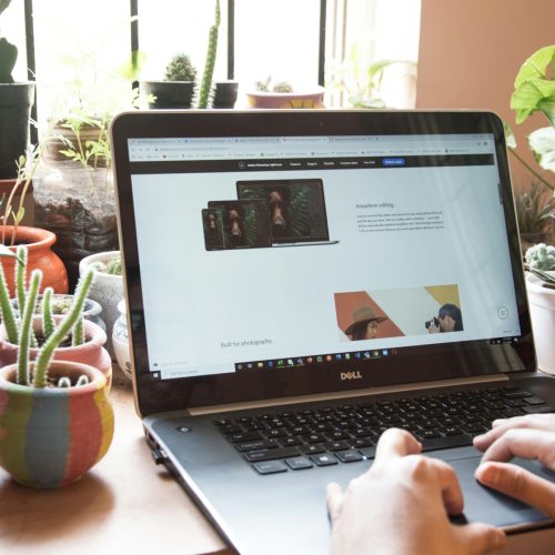 A person using a Dell laptop on a desk filled with small potted cacti and succulents, with the screen displaying Adobe Lightroom's product page.